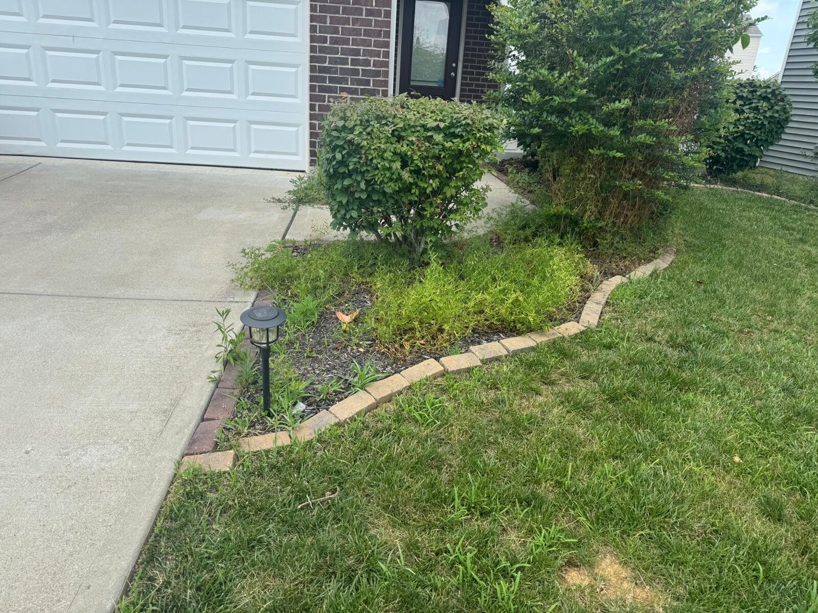 Castle Mulching Before & After